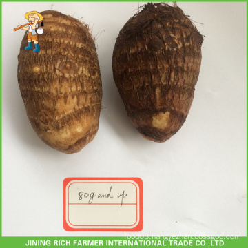 Best Price Chinese Fresh Taro 80g